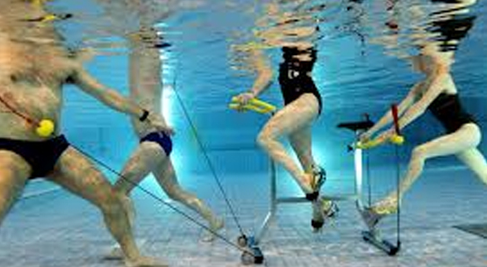 Img MULTIFITNESS